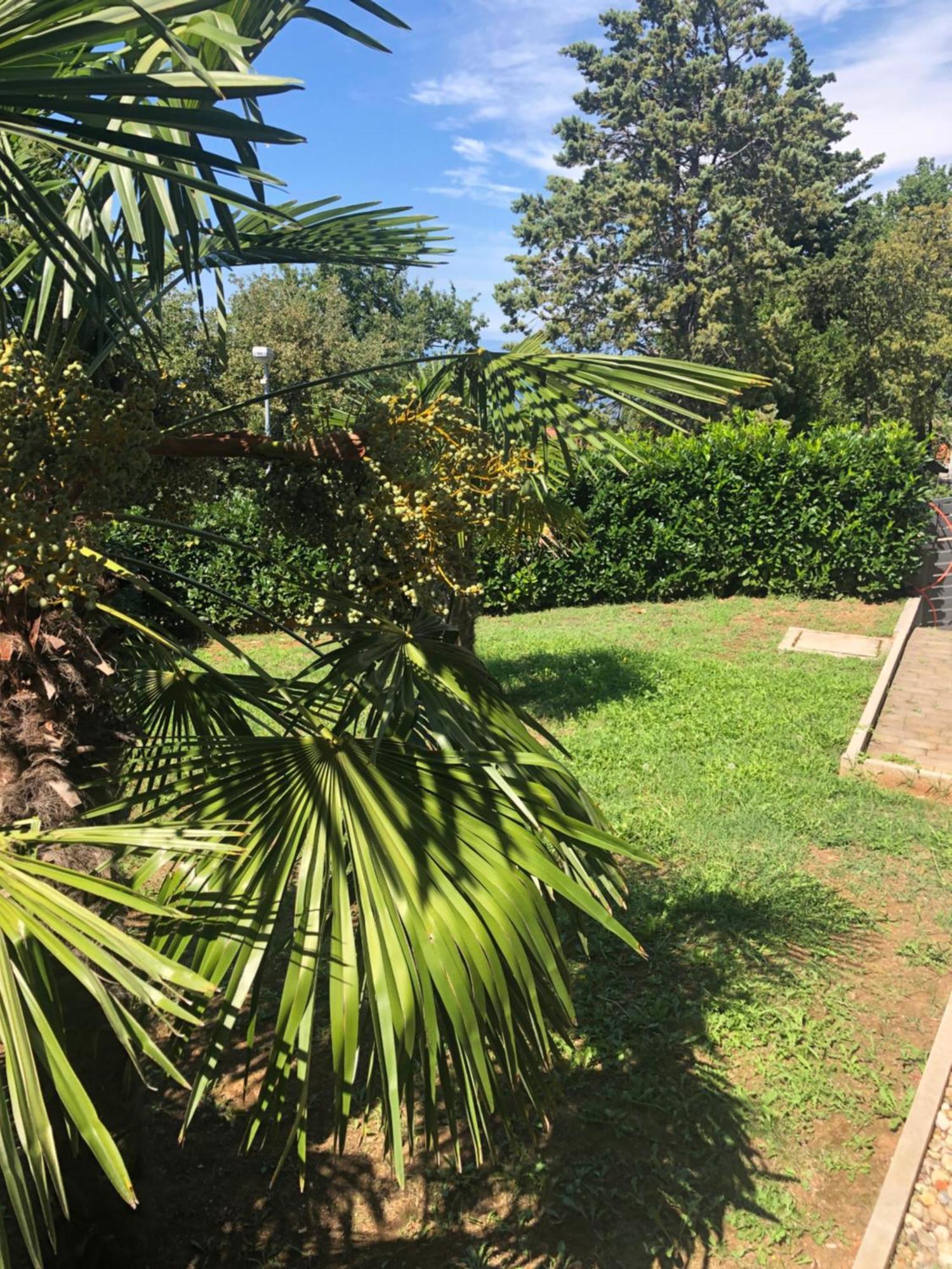 Villa Rudy Holiday Home Njivice Ngoại thất bức ảnh